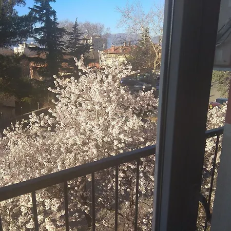 Hosty Place Apartment *